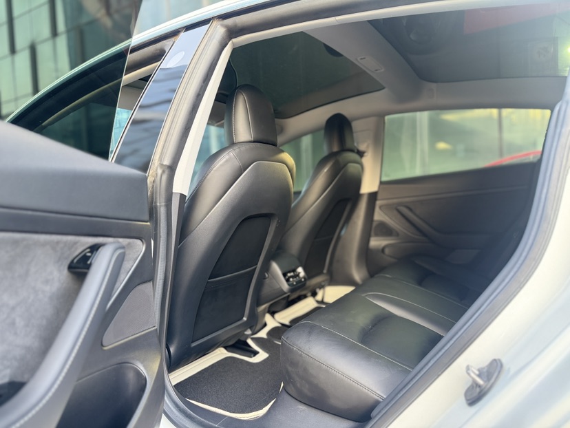 Tesla Model 3 2020 car image #4