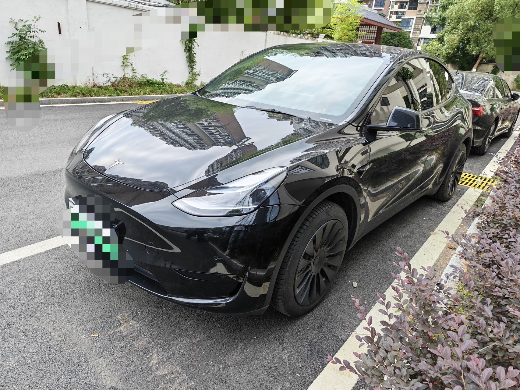 Tesla Model Y 2023 car image 