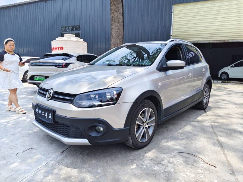 Volkswagen Polo 2013 Volkswagen Polo 2013 car image