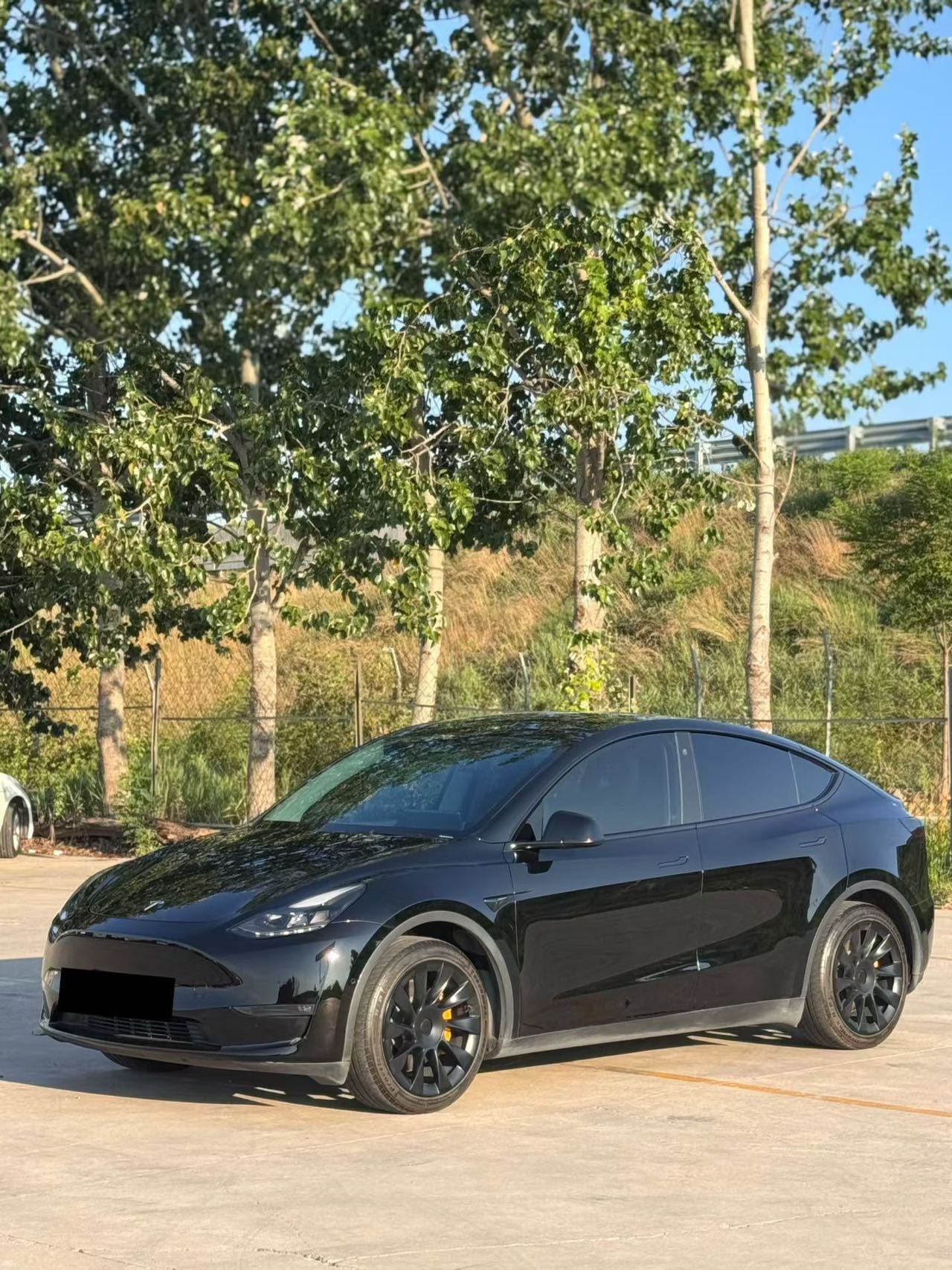 Tesla Model Y 2021 car image 