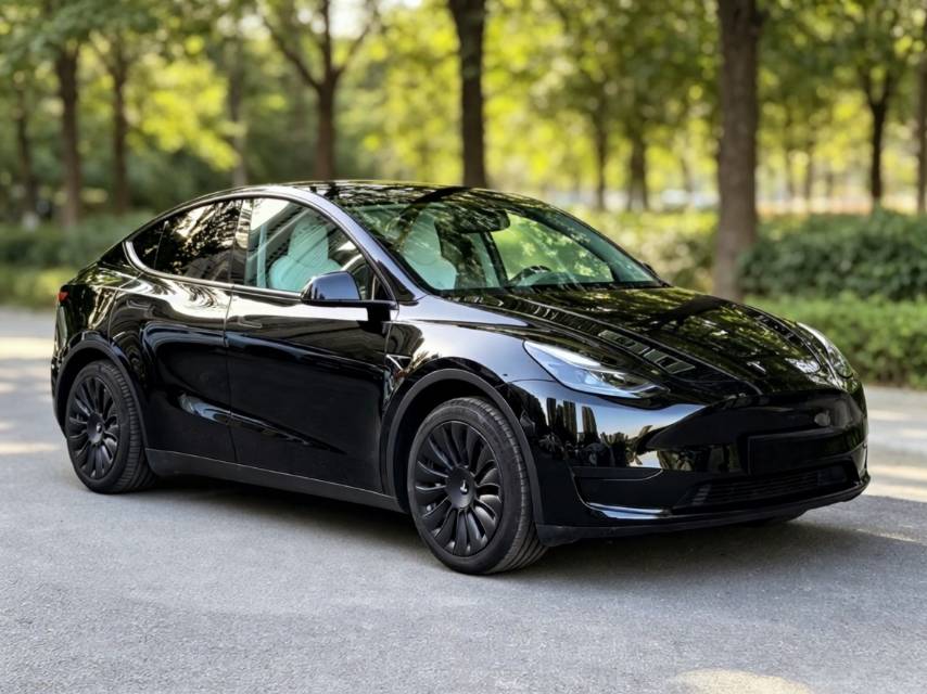 Tesla Model Y 2023 car image #8