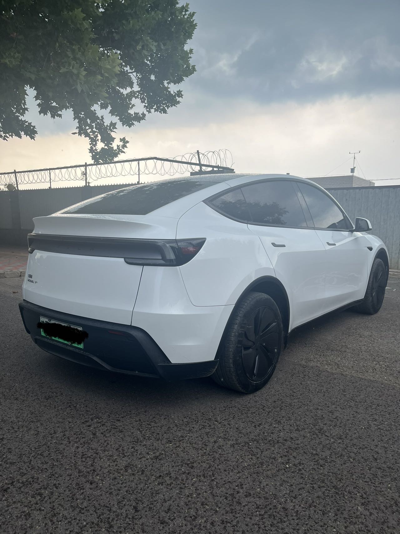 Tesla Model Y 2025 car image #4
