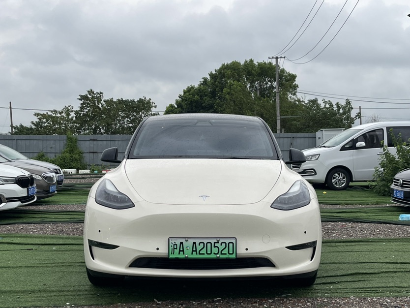 Tesla Model Y 2021 car image #2