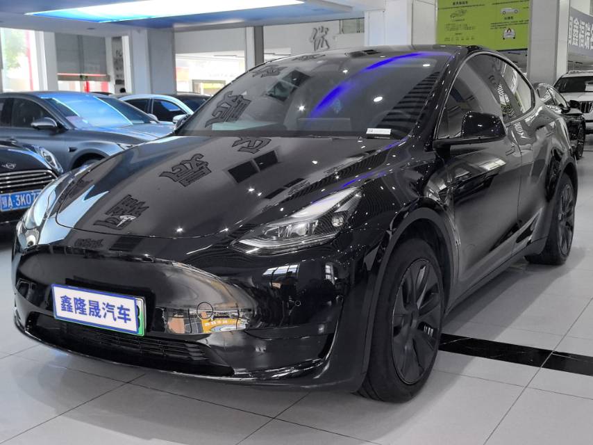 Tesla Model Y 2024 car image 