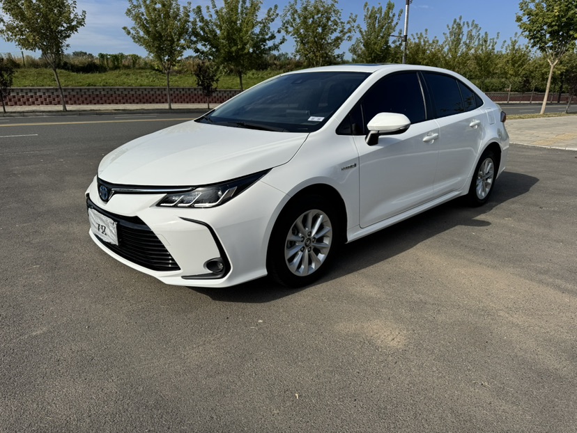 Toyota Corolla 2022 Toyota Corolla 2022 car image