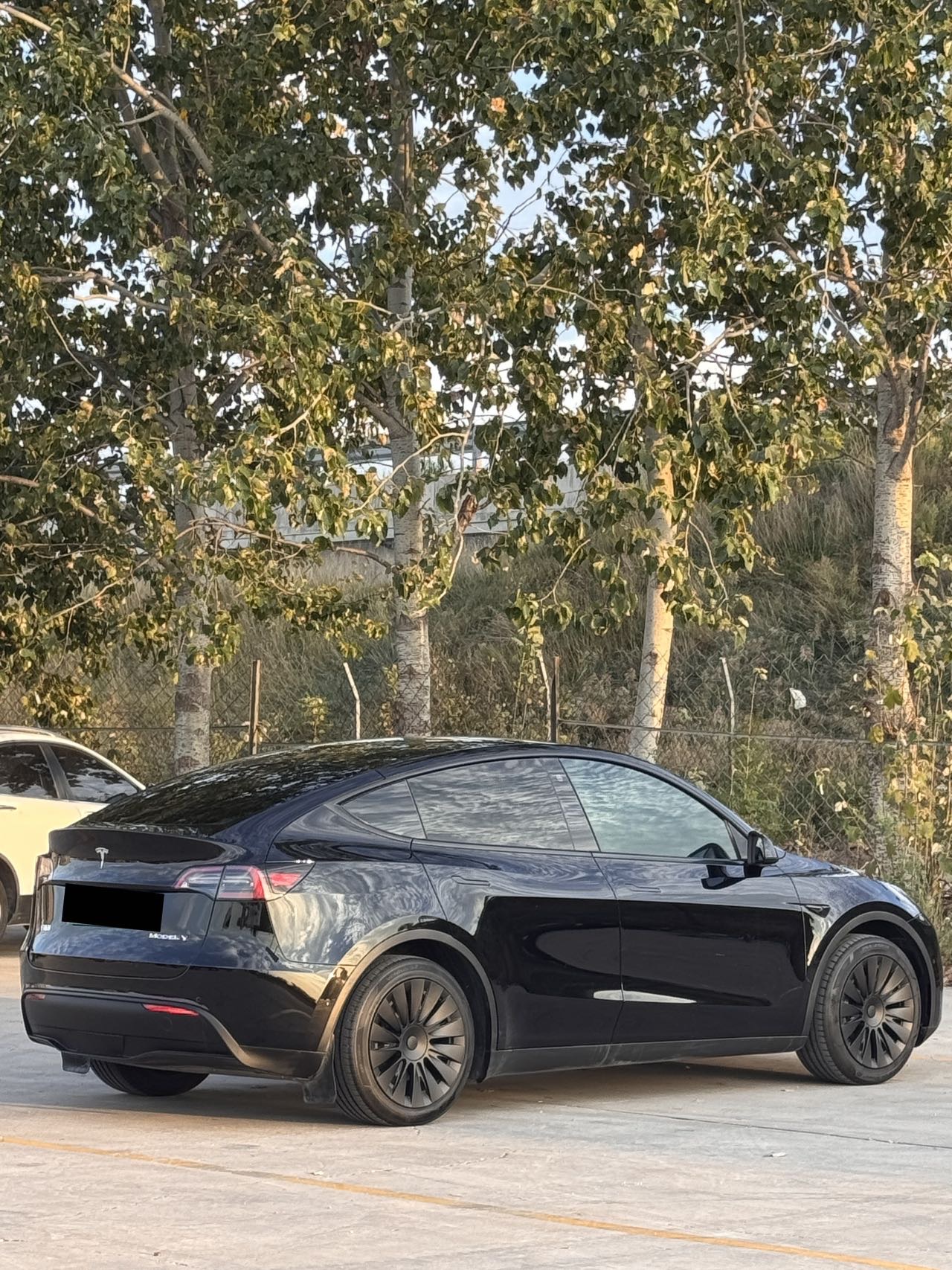 Tesla Model Y 2022 #8 Tesla Model Y 2022 car image #8