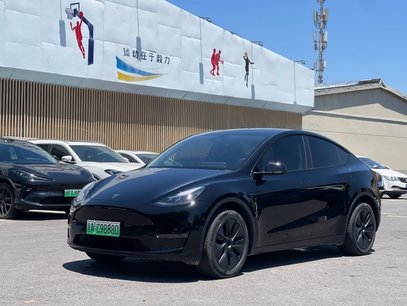 Tesla Model Y 2024 car image 