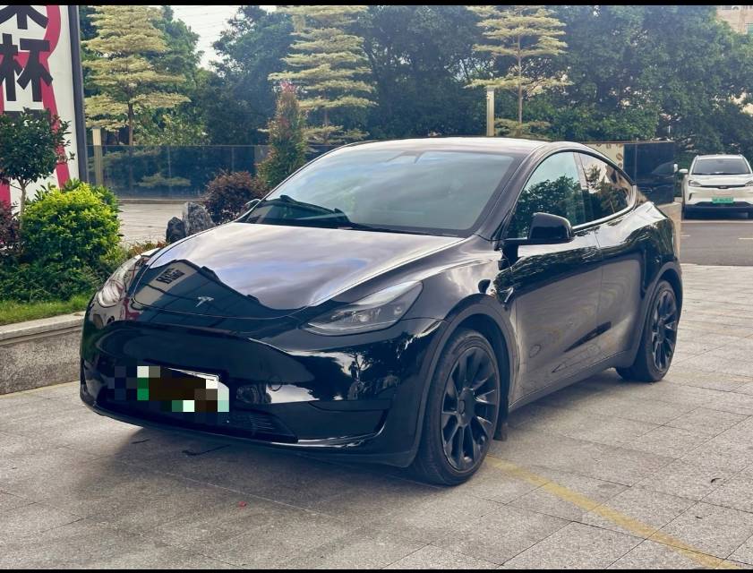 Tesla Model Y 2022 car image 
