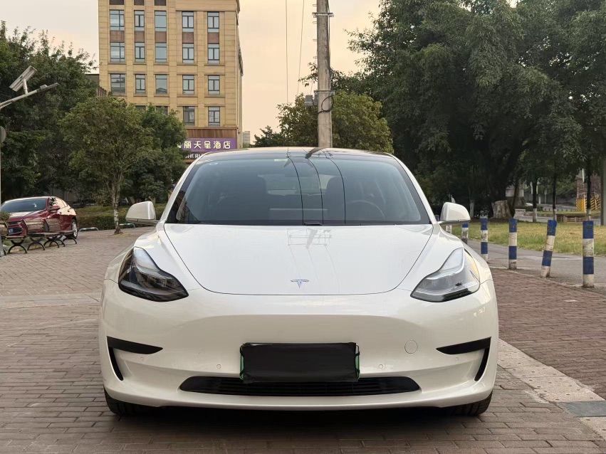 Tesla Model 3 2020 #2 Tesla Model 3 2020 car image #2