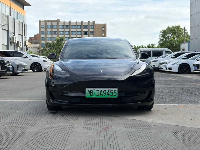 Tesla Model 3 2021 car image 
