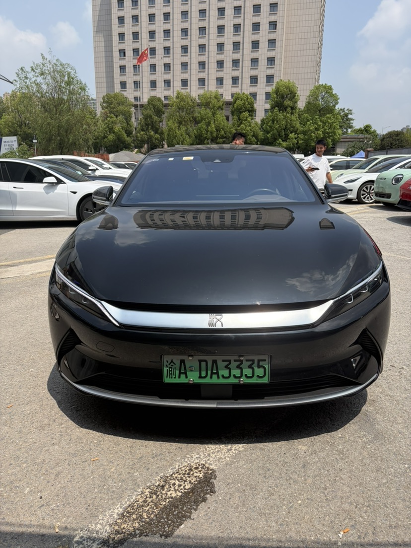 BYD Han 2021 immagine di auto #2