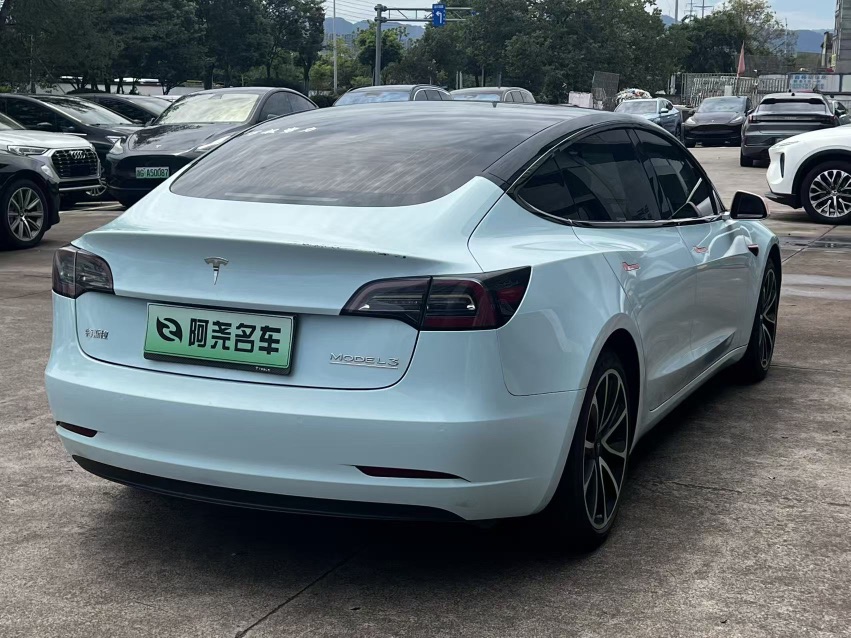 Tesla Model 3 2020 #9 Tesla Model 3 2020 car image #9