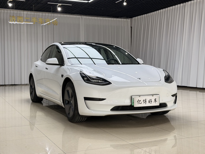Tesla Model 3 2021 #3 Tesla Model 3 2021 car image #3