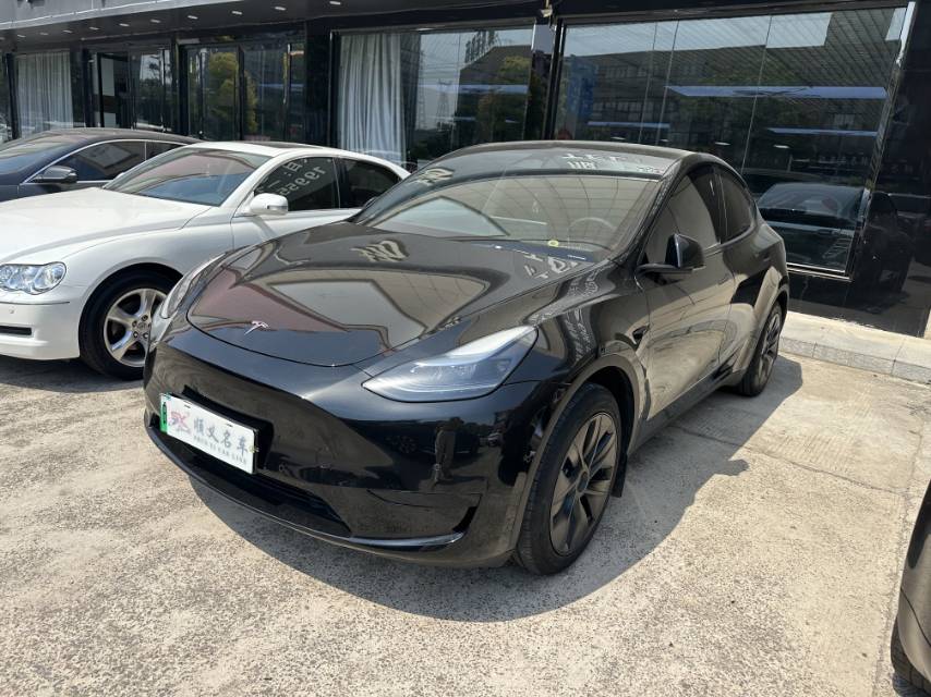 Tesla Model Y 2024 car image 