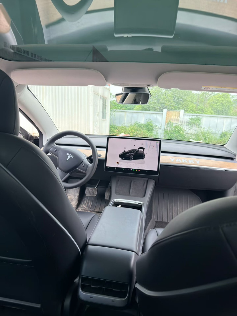 Tesla Model 3 2023 immagine di auto #7