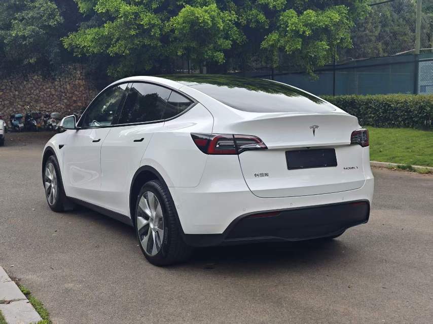 Tesla Model Y 2021 car image #6