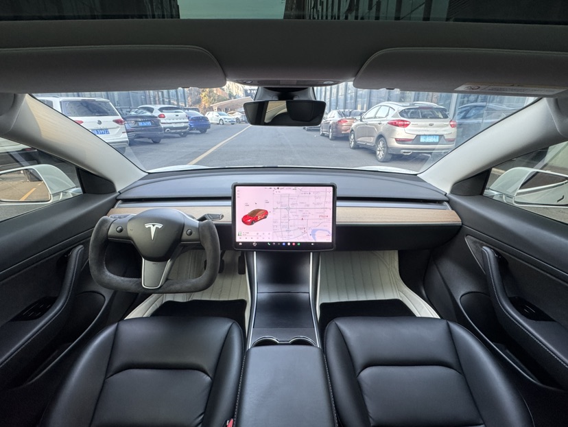 Tesla Model 3 2020 car image #5