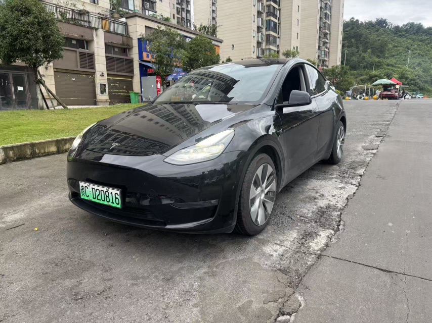 Tesla Model Y 2021 car image 