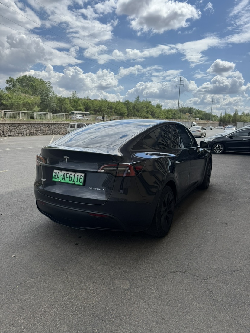Tesla Model Y 2025 car image #4