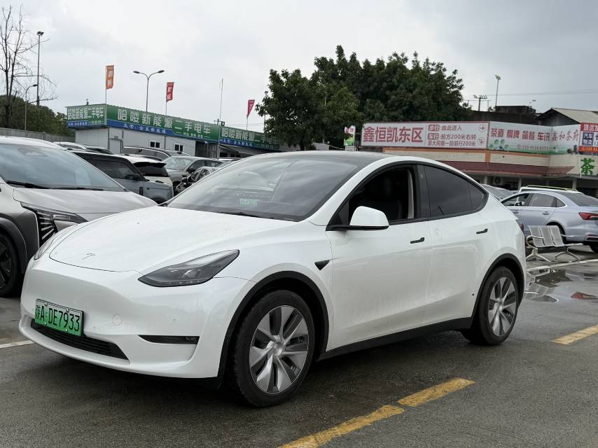 Tesla Model Y 2021 car image 