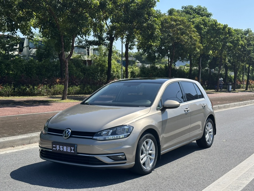 Volkswagen Golf 2019 Volkswagen Golf 2019 car image