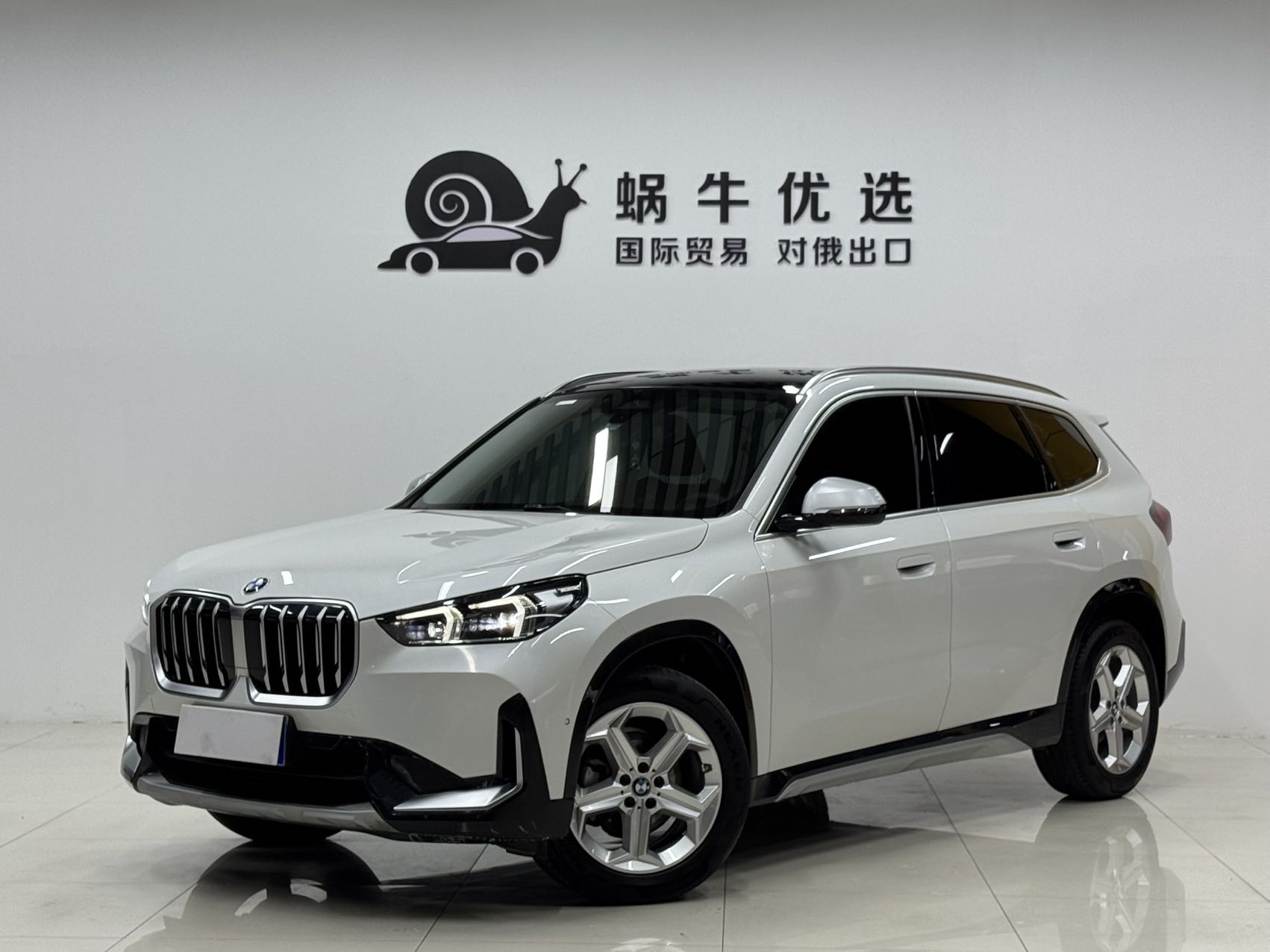 BMW X1 2023 car image 
