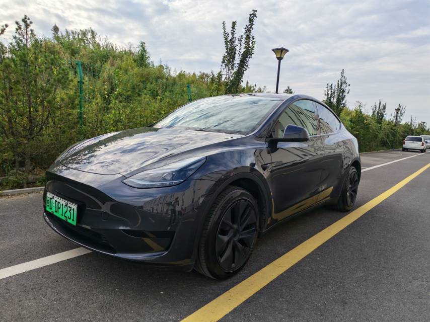 Tesla Model Y 2024 Tesla Model Y 2024 car image