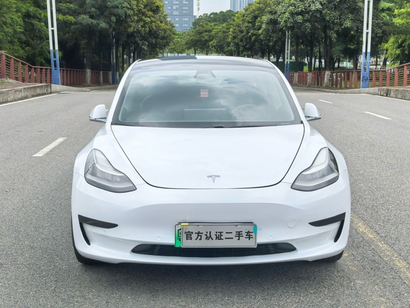 Tesla Model 3 2020 #2 Tesla Model 3 2020 car image #2