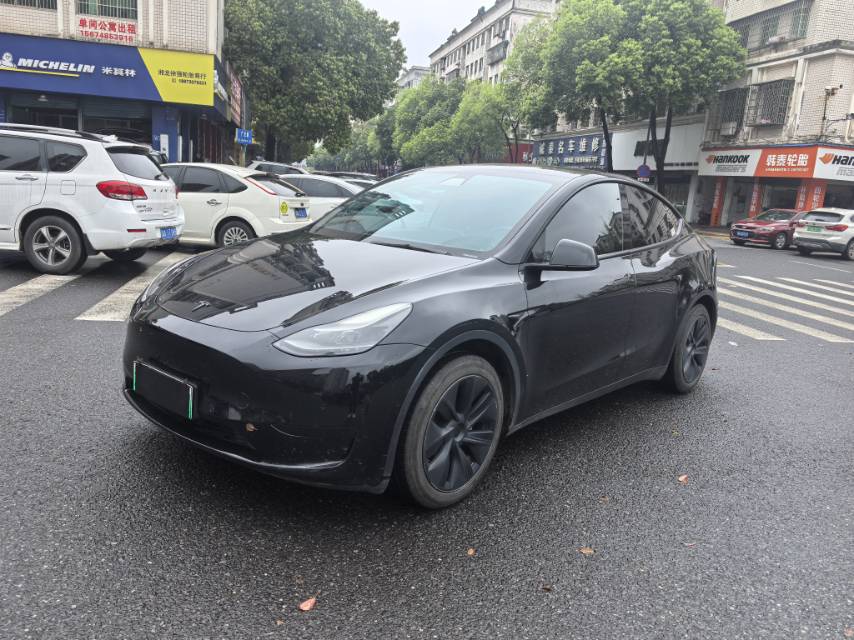 Tesla Model Y 2022 Tesla Model Y 2022 car image