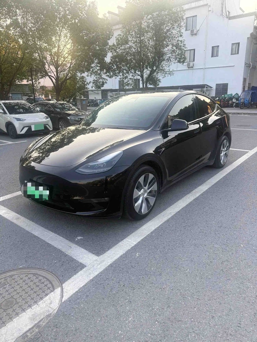 Tesla Model Y 2021 Tesla Model Y 2021 imagem de carro