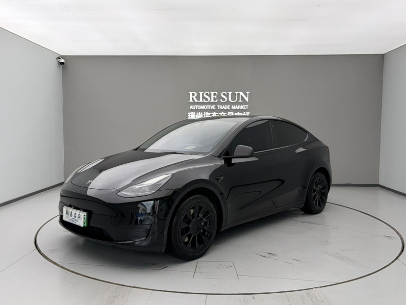 Tesla Model Y 2022 car image 