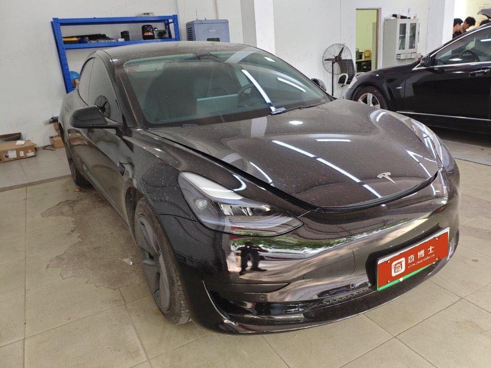 Tesla Model 3 2023 #2 Tesla Model 3 2023 car image #2