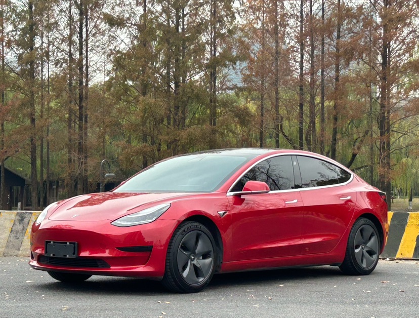 Tesla Model 3 2020 Tesla Model 3 2020 car image
