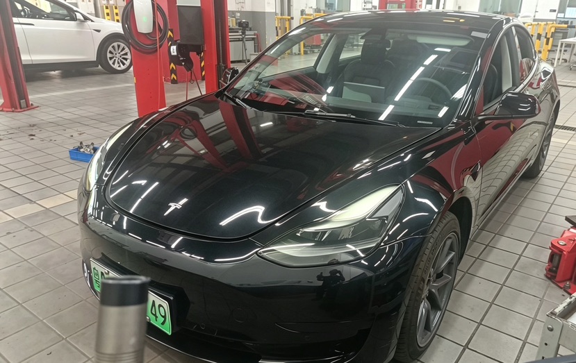 Tesla Model 3 2021 Tesla Model 3 2021 car image