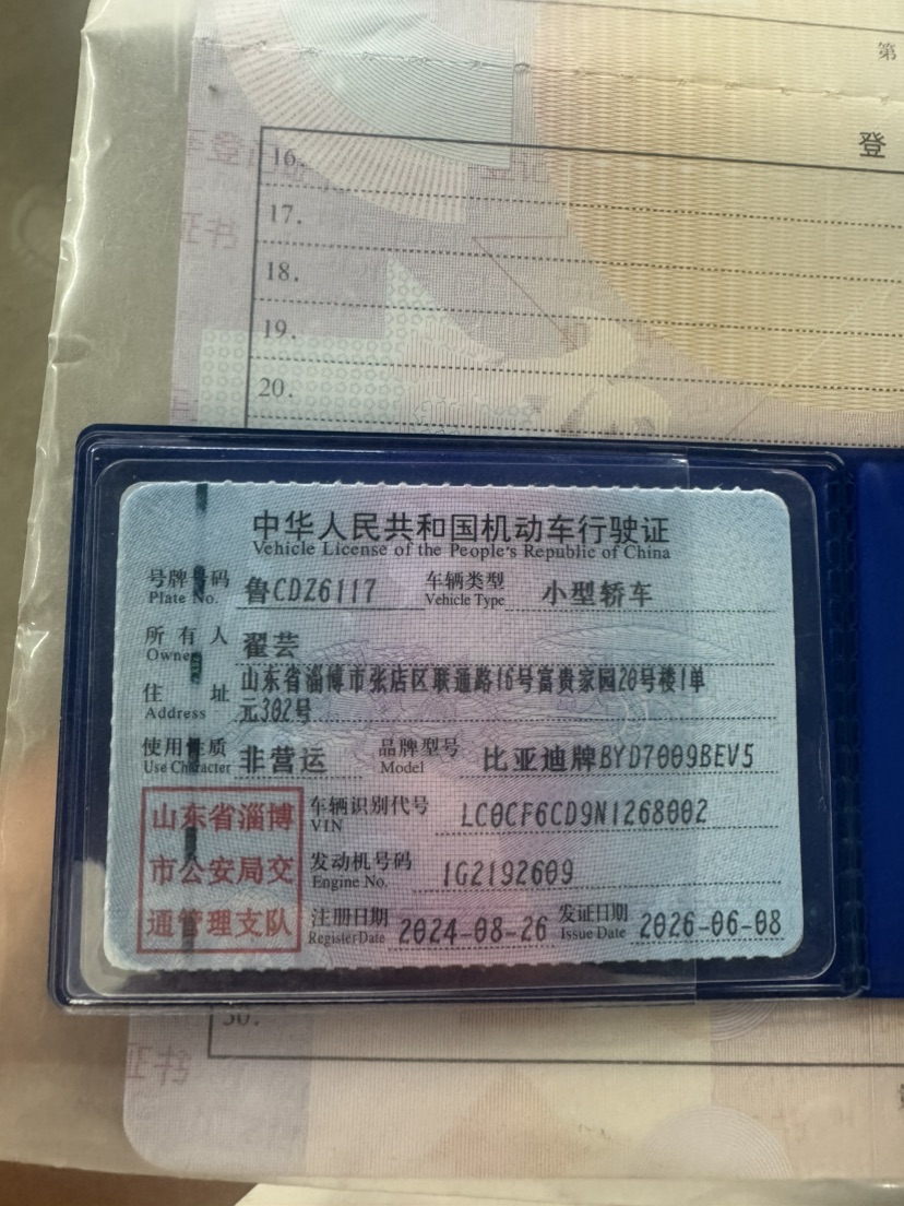 BYD Han 2024 #8 BYD Han 2024 immagine di auto #8