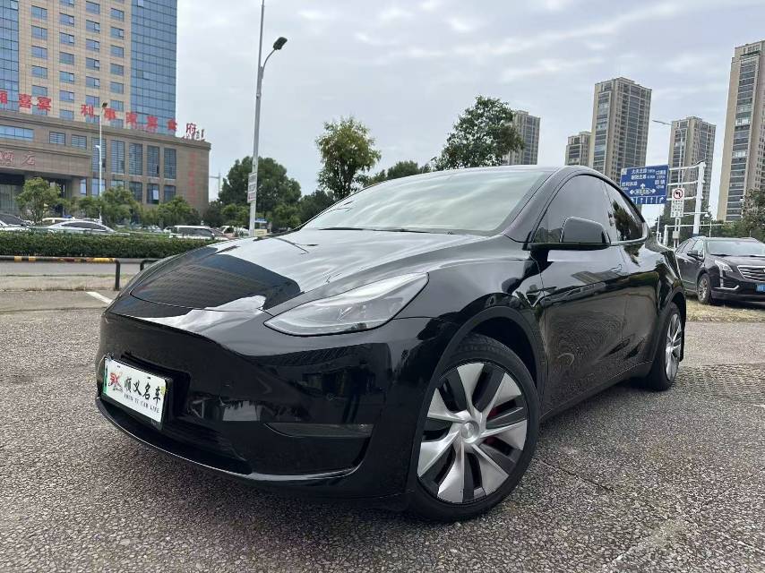 Tesla Model Y 2021 Tesla Model Y 2021 car image