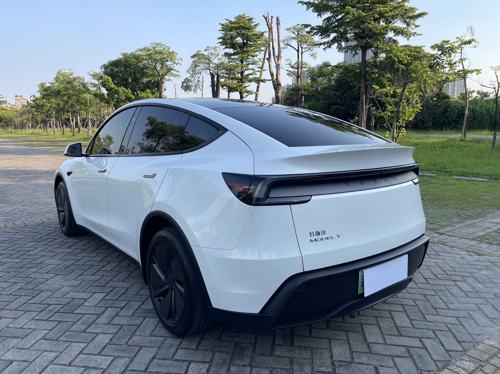 Tesla Model Y 2025 car image #12