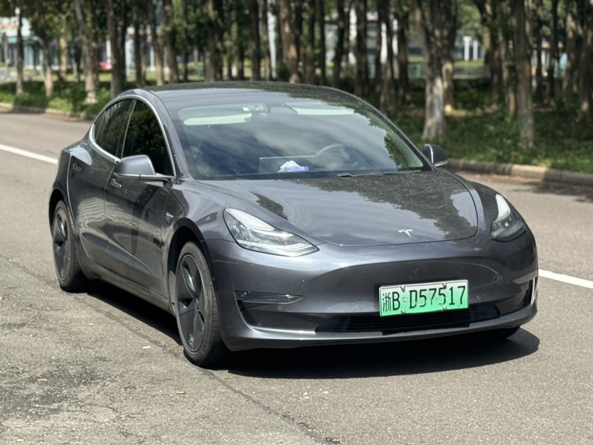 Tesla Model 3 2020 изображение автомобиля #2