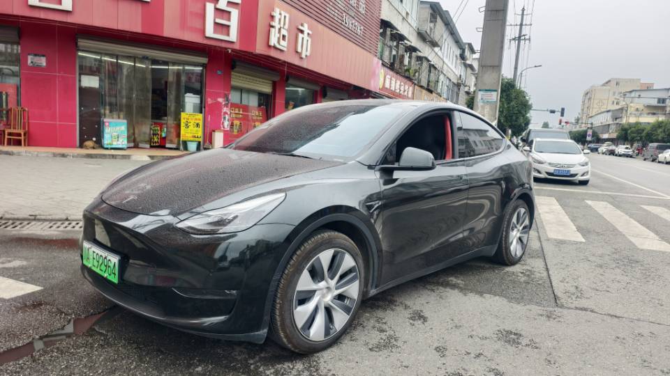 Tesla Model Y 2021 Tesla Model Y 2021 car image