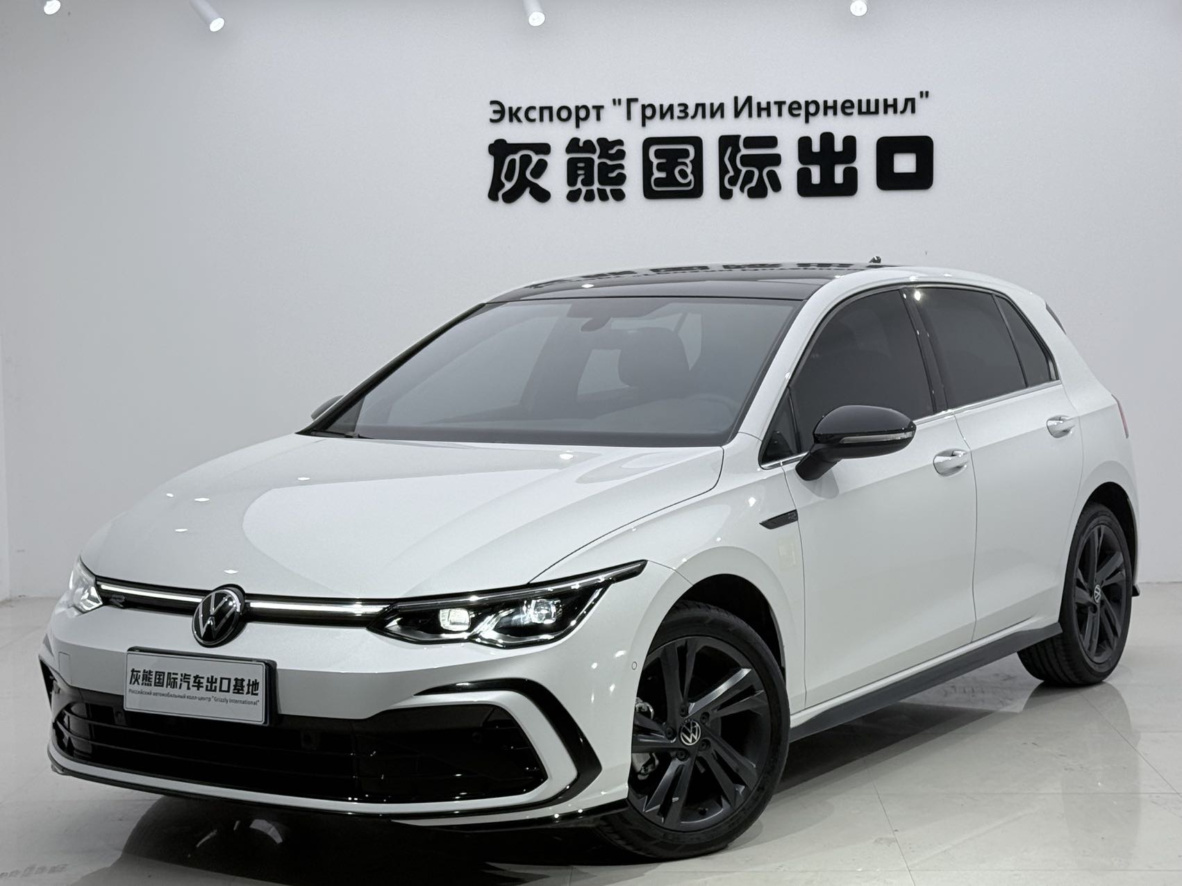 Volkswagen Golf 2024 car image 