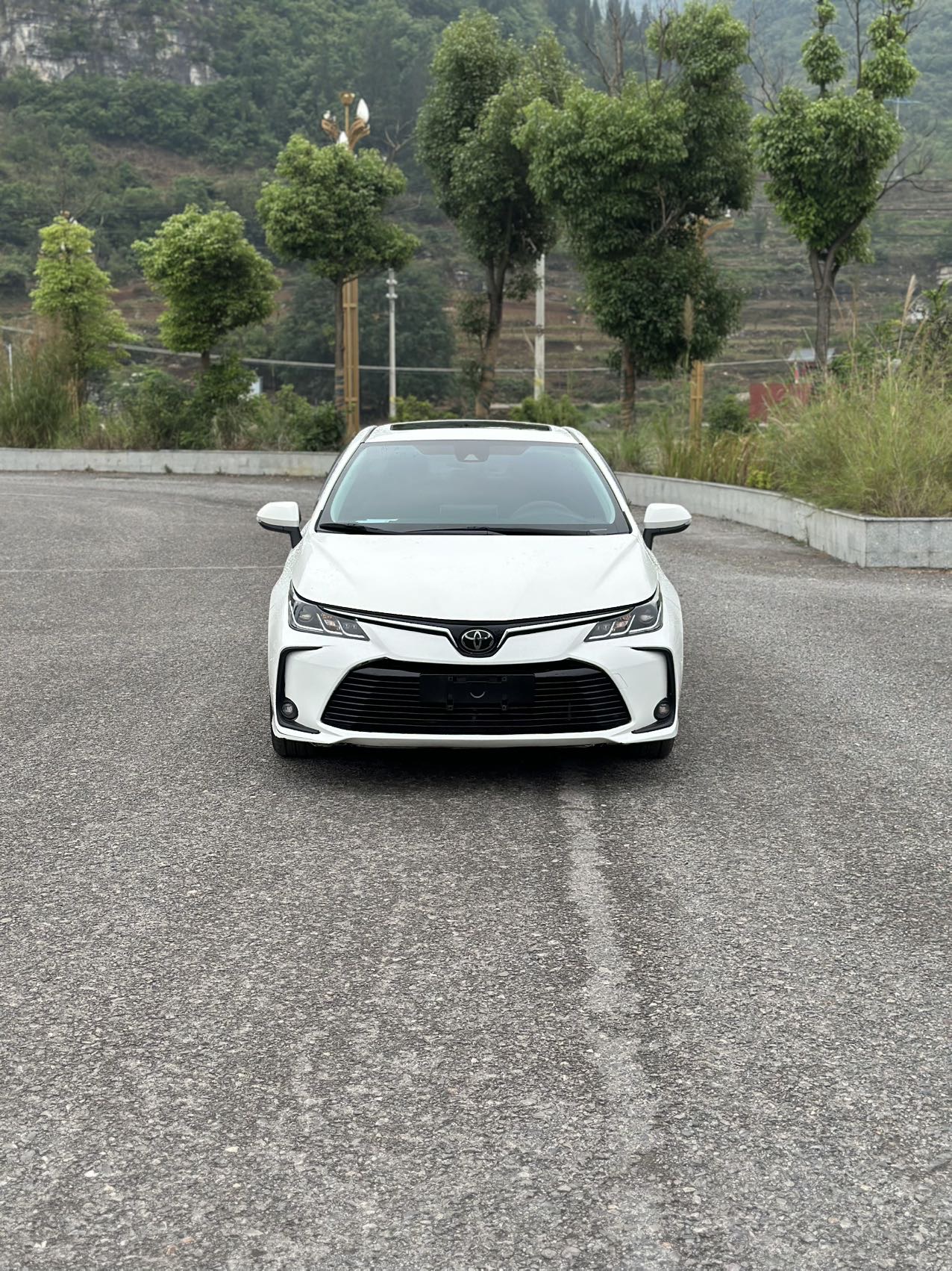 Toyota Corolla 2021 car image #2