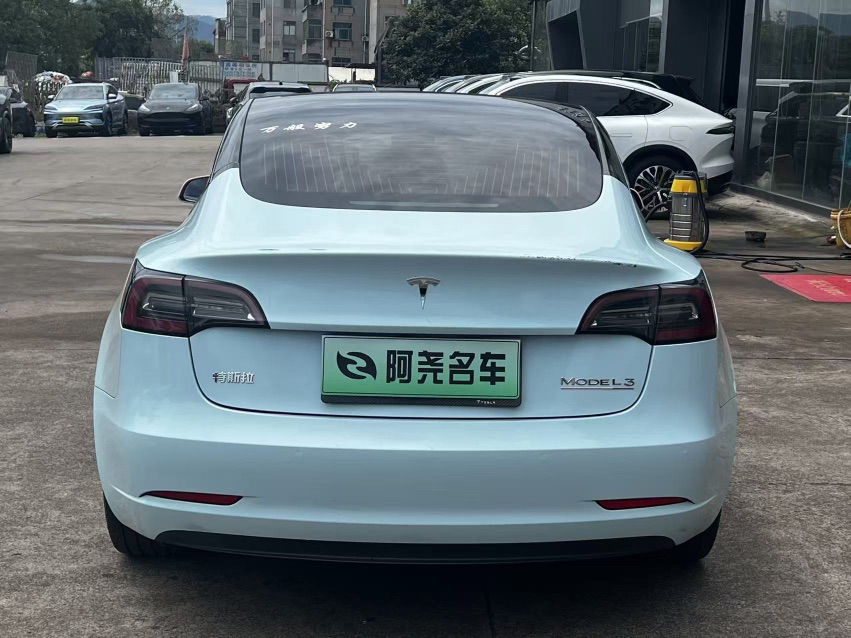 Tesla Model 3 2020 #8 Tesla Model 3 2020 car image #8