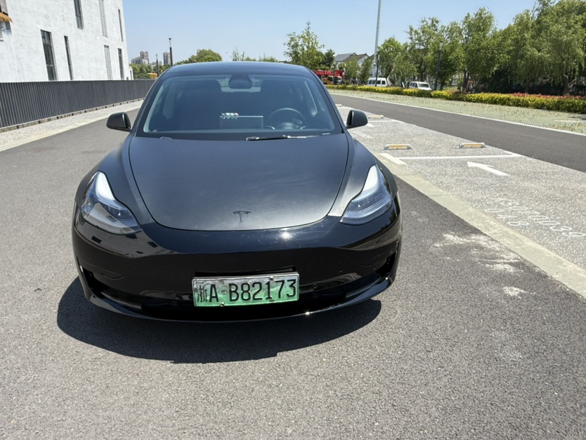 Tesla Model 3 2023 immagine di auto #2