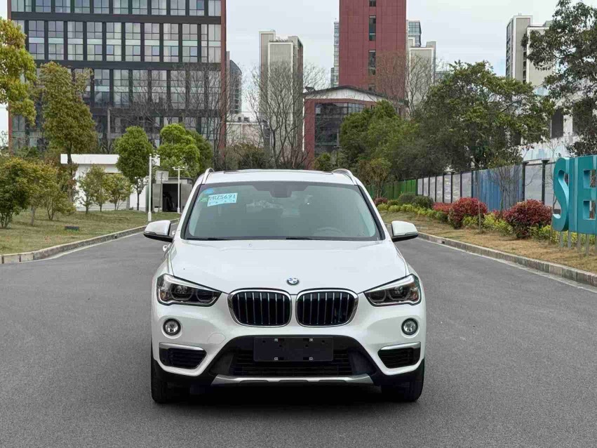 BMW X1 New Energy 2019 car image #2