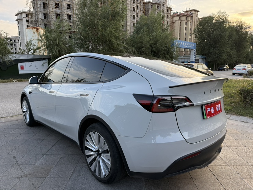 Tesla Model Y 2022 #4 Tesla Model Y 2022 car image #4