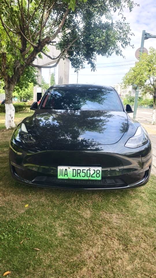 Tesla Model Y 2021 #2 Tesla Model Y 2021 car image #2