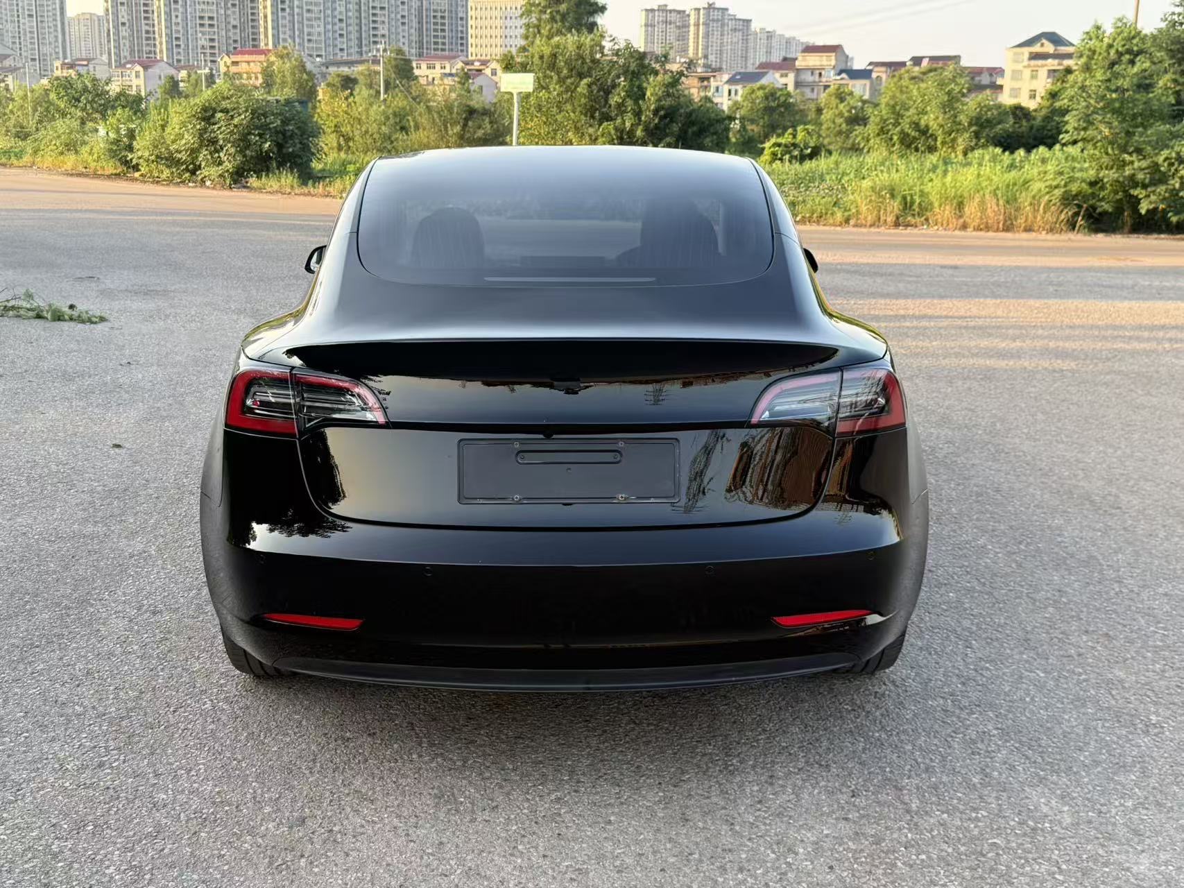 Tesla Model 3 2021 car image #8