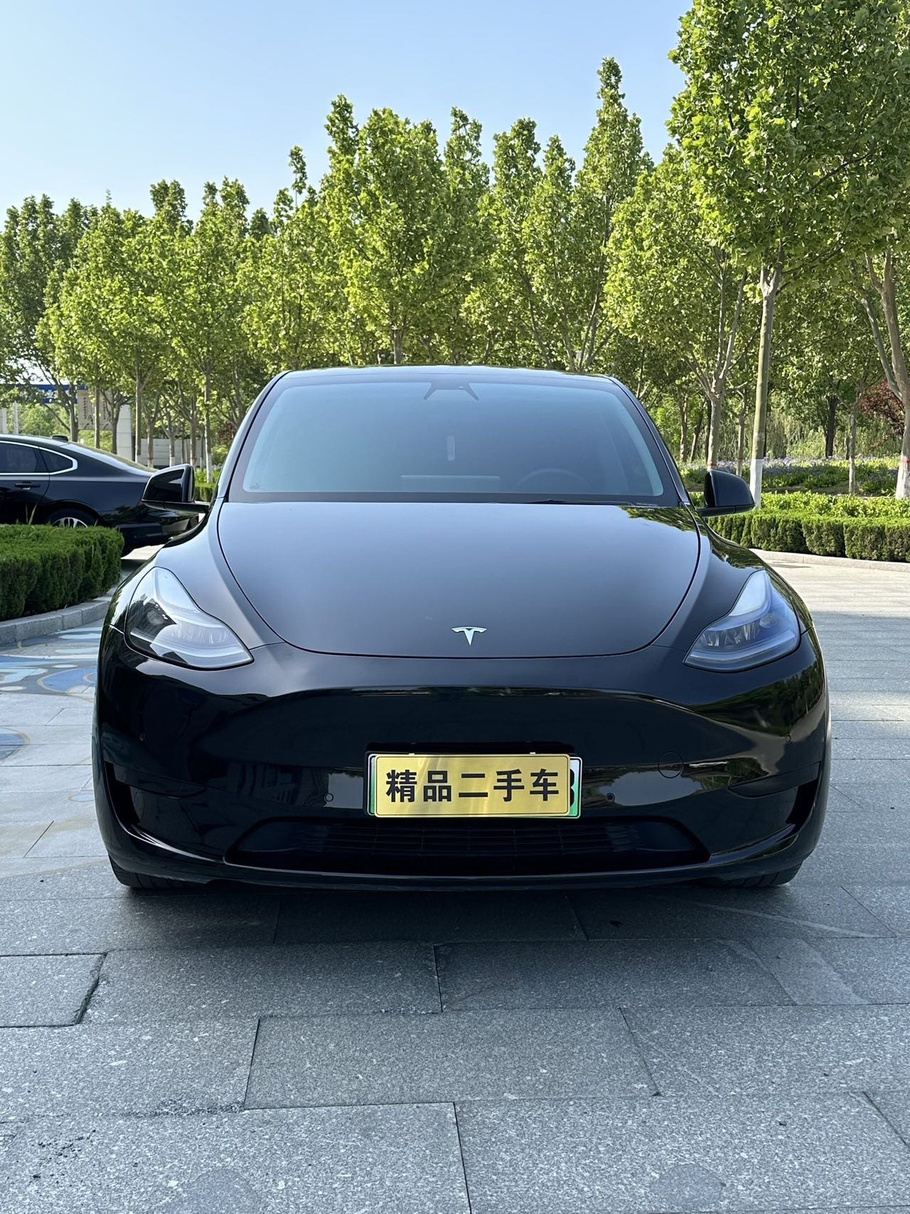 Tesla Model Y 2023 #2 Tesla Model Y 2023 car image #2