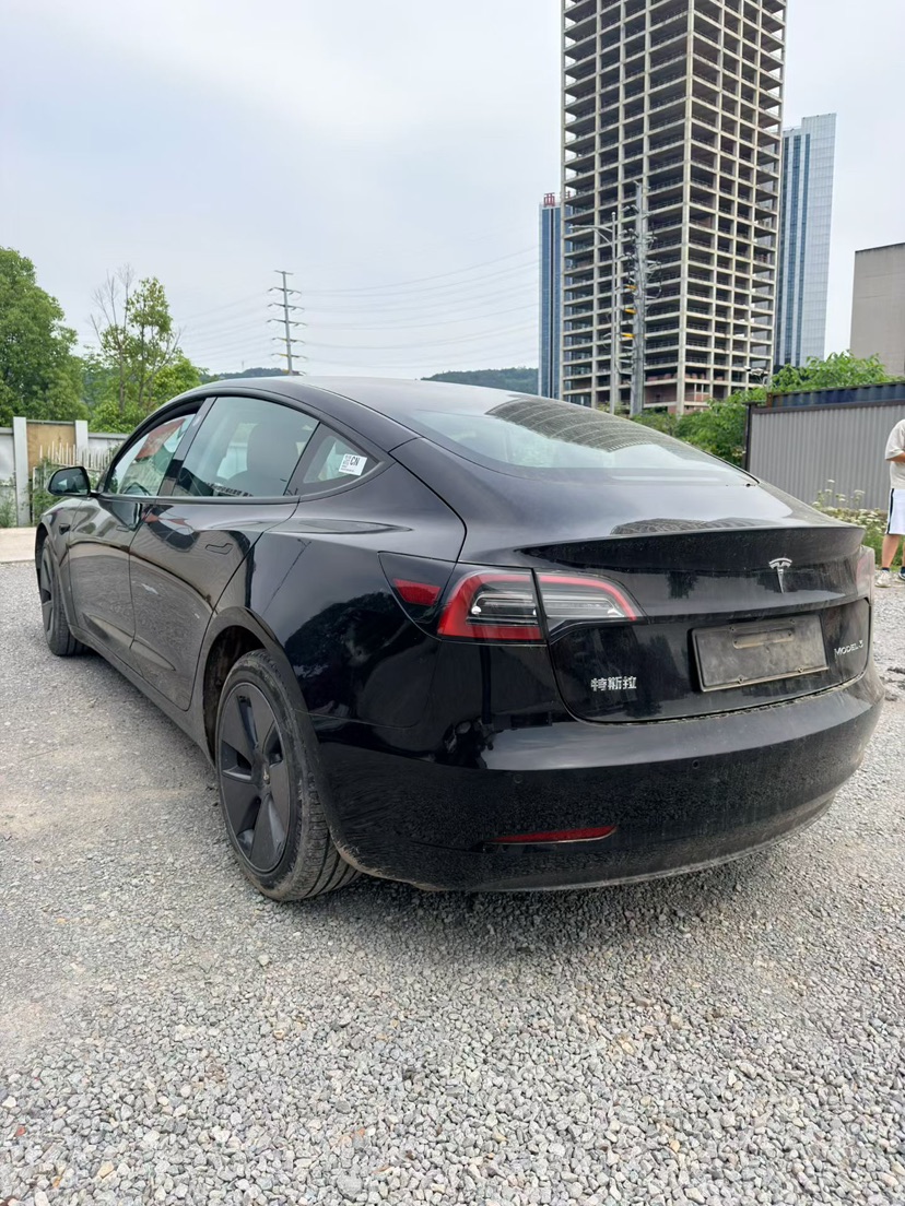 Tesla Model 3 2023 immagine di auto #4