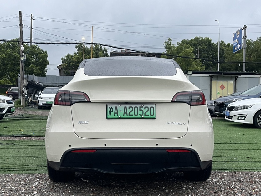 Tesla Model Y 2021 car image #8